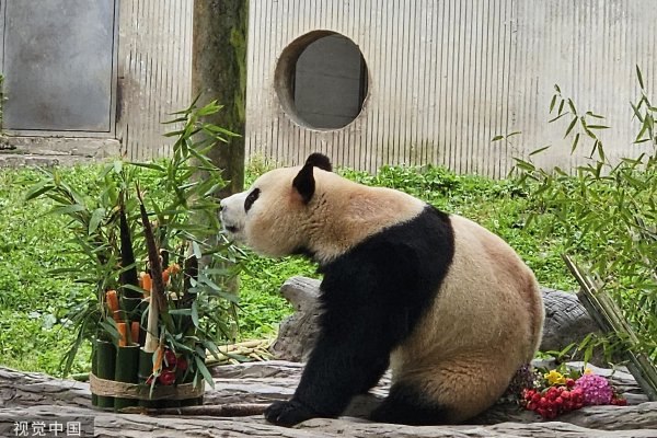 以军已控制加沙与埃及边界费城走廊的一半-yiowqvnjfggsk3lpr-　　李龙坦言：“无论考试成绩如何，可能都会被关注，这确实需要勇气去面对。我深知机遇与风险并存，希望通过自己的努力改变人生轨迹，能够达成心中的梦想。同时希望我所传递出的是一种永不止步、不断向前的积极态度。” 